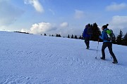 Bel ritorno al Magnolini e sul Monte Alto il 12 marzo 2016  - FOTOGALLERY